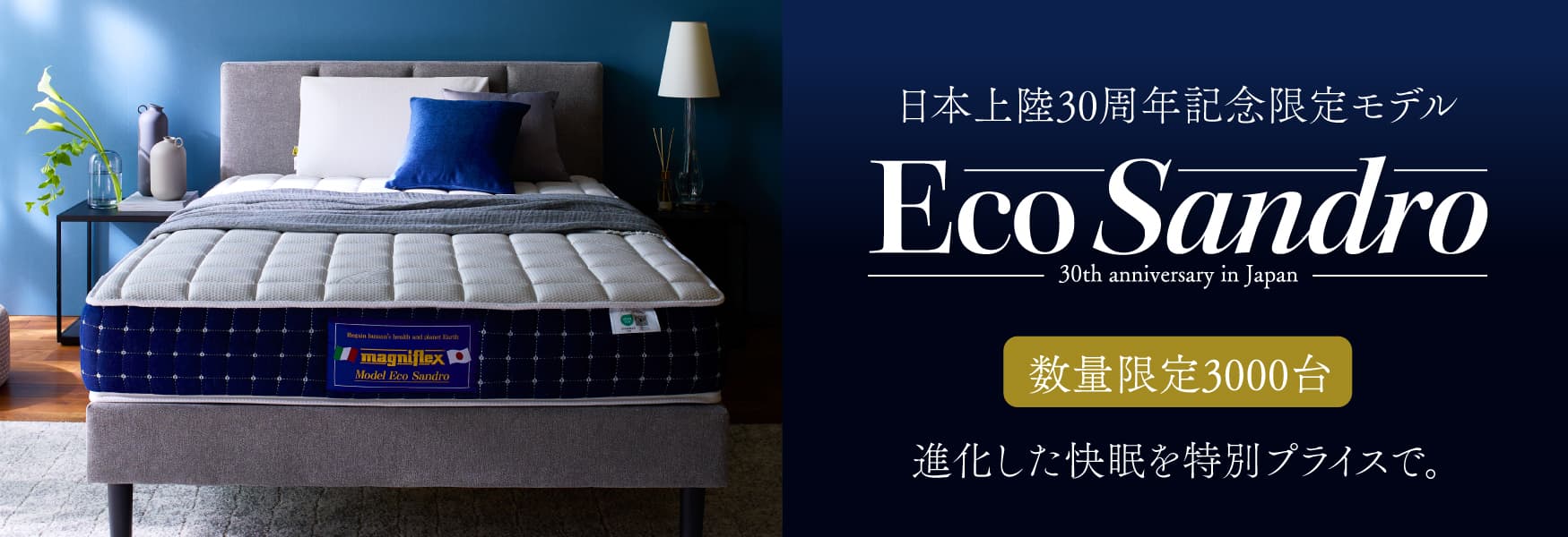 日本上陸30周年記念限定モデル EcoSandro エコサンドロ