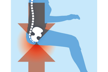 坐骨域をしっかりと支える体圧分散効果。上半身（体幹）に比べて沈み込みが小さい大腿部は、クッションからの圧迫も少なく血液・リンパの流れを妨げません。
